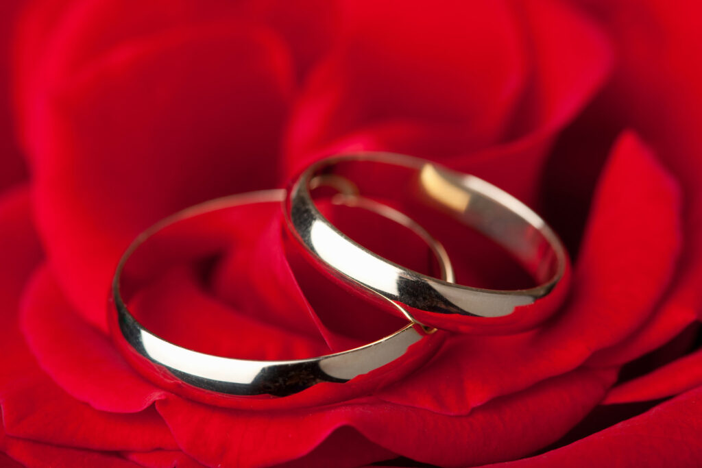 Wedding rings over red rose